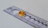 Catholic Culture: Circle Sizer Ruler (Paper Filigree)