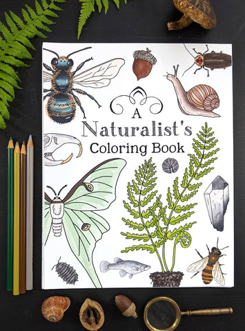 Box with 6 Coloring Books & Stickers - Botanist/Garden Theme – Chicory  Naturalist